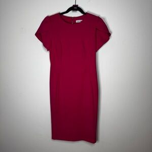 #119 Sz. 6 | CALVIN KLEIN | Fuchsia Midi Dress